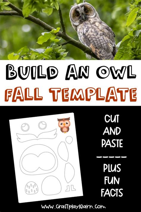 kids cut  owl template fun fall craft  kids craft play learn
