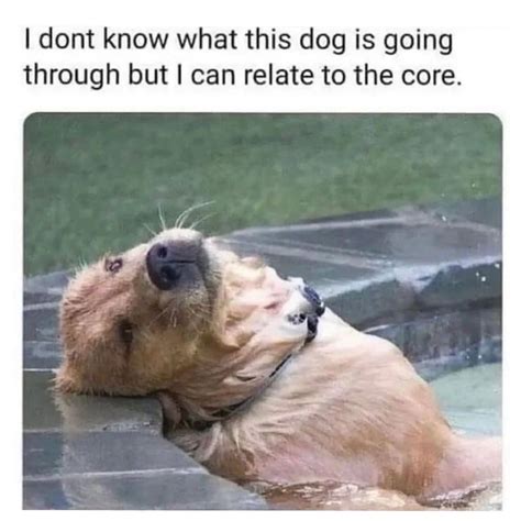 dont    dog       relate   core