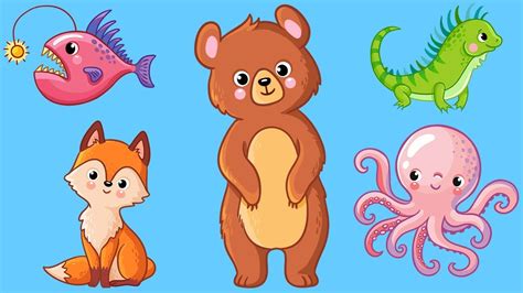 animals  kids learn animal names  toddlers youtube