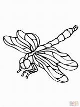 Dragonfly Coloring Pages Print Printable Colouring Drawing Supercoloring Color Popular Adult Sheets Kids Coloringhome Choose Board sketch template