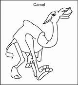 Camel Coloring Pages Kids Printable sketch template