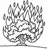 Bush Burning Coloring Moses Pages Kids Bushfire Drawing Craft Printable Bible Template School Sunday House Activity Activities Fire Color Story sketch template