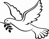 Dove Coloring Pages Peace Bird Voice Clipart sketch template