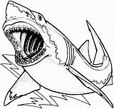 Shark Coloring Blue Getdrawings Pages sketch template