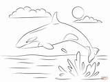 Whale Coloring Killer Pages Shamu Water Orca Cute Printable Whales Color Drawing Jumping Sheet Kids Sheets Cartoon Da Baleia Desenho sketch template