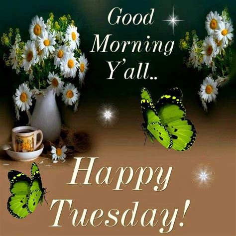 good morning yall happy tuesday pictures   images