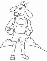 Goat Boxer Coloring sketch template
