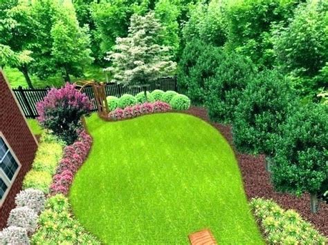privacy landscaping evergreen trees ideas   backyard landscape