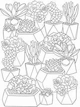 Succulents Colorir Ausmalbilder Suculentas Stamping Kaktus Adults Erwachsene Craftgossip Mandalas Dover sketch template