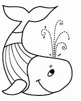Coloring Pages Whale Board Choose sketch template