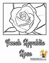 Coloring Czech Republic Pages Flower Printout 78kb 792px Flowers Library Clipart sketch template