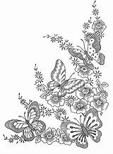 Coloring Pages Adult Butterflies Insects Adults sketch template
