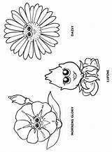 Flower Coloring Daisy Girl Friends Pages Petal Scout Petals Scouts Garden Flowers Makingfriends Puppets Sheets Print Lupine Morning Glory Daisies sketch template