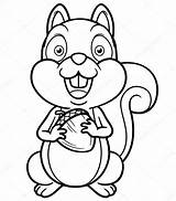 Squirrel Cartoon Coloring Book Pages Stock Drawing Illustration Funny Angry Outline Depositphotos Flying Cute Printable Getdrawings Sararoom Visit Paintingvalley Getcolorings sketch template
