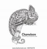 Chameleon Coloring Vector Doodle Zendala Pattern Shutterstock Adults Relaxation Illustration Stock Evgeniya Zen Isolated Background Preview Doodles sketch template