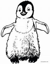 Coloring Penguin Cute Pages Penguins Pittsburgh Getcolorings Macaroni Color Printable sketch template
