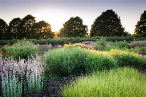 gorgeous piet oudolf garden summer ideas  inspiration meadow