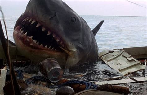 jaws tracing  real life inspirations  classic