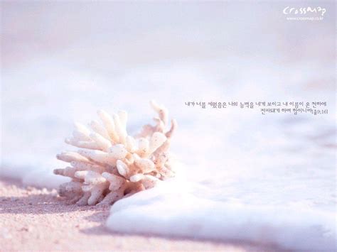 desktop backgrounds bible verses wallpaper cave