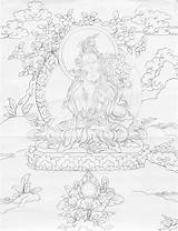 Tara Green Deviantart Tibetan Buddha Drawing Browse sketch template