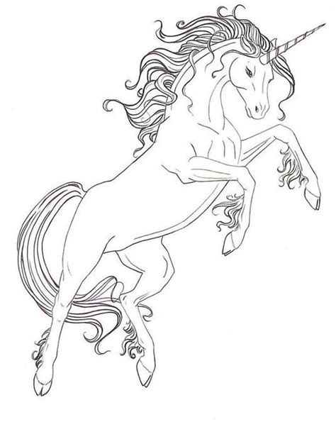 pin  wanda twellman  coloring horses unicorn coloring pages