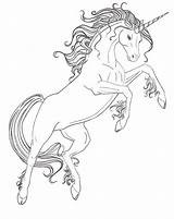 Coloring Pages Unicorn Horse Horses Color Colouring Adult Choose Board sketch template