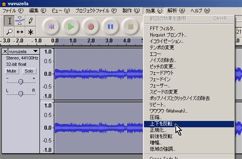 「死ぬまでブブゼラを吹き続ける覚悟だ」「逮捕するならオレ