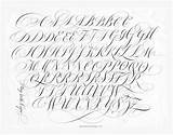 Copperplate Lettering Fonts Cursive Flourish Tattoo Stevens Penmanship Flourished sketch template