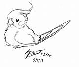 Cockatiel Drawing Drawings Coloring Bird Cute Pudgy Wittle Deviantart Desenho Cockatiels Animal Desenhos Draw Realistic Cartoon Sketch Sketches Birds Search sketch template