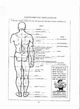 Anatomy Loomis sketch template