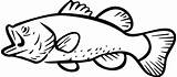Bass Fish Clipart Largemouth Fishing Outline Clip Silhouette Coloring Patterns Drawing Border Background Pages Jumping Template Drawings Stencils Birthday Cliparts sketch template