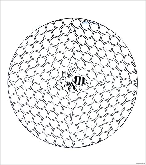 bee  hive coloring page  printable coloring pages