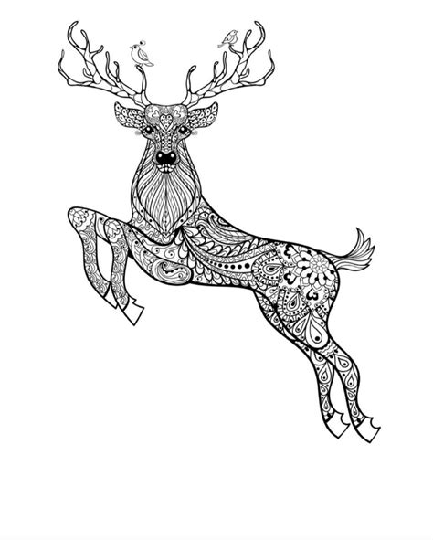 animal colouring book etsy