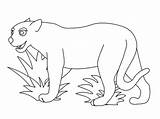 Jaguar Pantera Colorir Dibujar Panteras Kolorowanki Mewarnai Realisticcoloringpages Desenhosinfantis Dzieci Rainforest Felinos Salvajes Imprimible sketch template