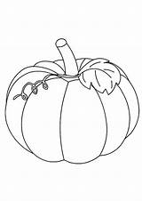 Coloring Pages Pumpkin sketch template