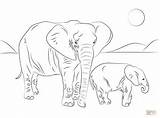 Elephant Family Coloring African Pages Drawing Ausmalbild sketch template