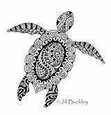 Zentangle Mandalas Animales Coloringpagesfortoddlers Tortugas sketch template