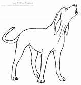 Coonhound Hound Tick Lineart Flashez Anbu sketch template