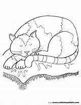Coloring Pages Cat Sleeping Nap Color Printable Toyota Bed Getcolorings Colori Appealing sketch template