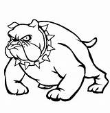 Pitbull Bulldogs Bulldog Getcolorings Coloringfolder Col sketch template