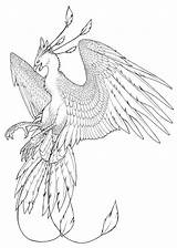 Phoenix Tattoo Pheonix Bird Line Drawing Coloring Pages Drawings Color Tattoos Japanese Shadow Chinese Designs Visit Choose Board sketch template