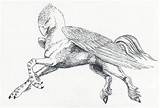 Hippogriff Buckbeak Beasts Hagrid Pegasus Ravenscar45 sketch template