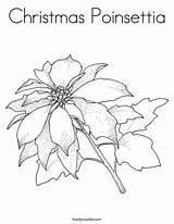 Coloring Poinsettia Christmas Chrismas Favorites Login Add sketch template