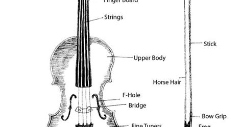 violin parts  printable diagram homeschooling attentiveness pinterest violin lessons