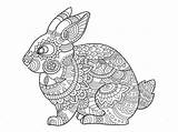 Bunny Hase Zentangle Animal Mandalas Hasen Boek Kleurende Malvorlagen Rabbits Kaninchen Ostern Layered Vorlagen Volwassenen Dentistmitcham Club sketch template