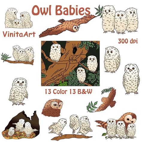 owl babies story book clip art digital  printables etsy