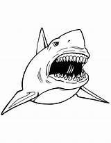 Jaws Malbücher Spielzeug Frightening Sharks sketch template