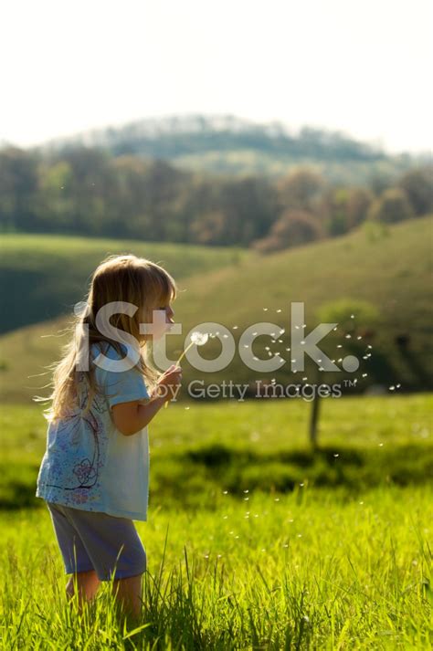 wishing stock photo royalty  freeimages