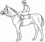Horse Pages Race Secretariat Template Coloring sketch template