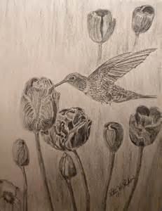 Hummingbird Drawing For Jill Patsy S Creative Corner